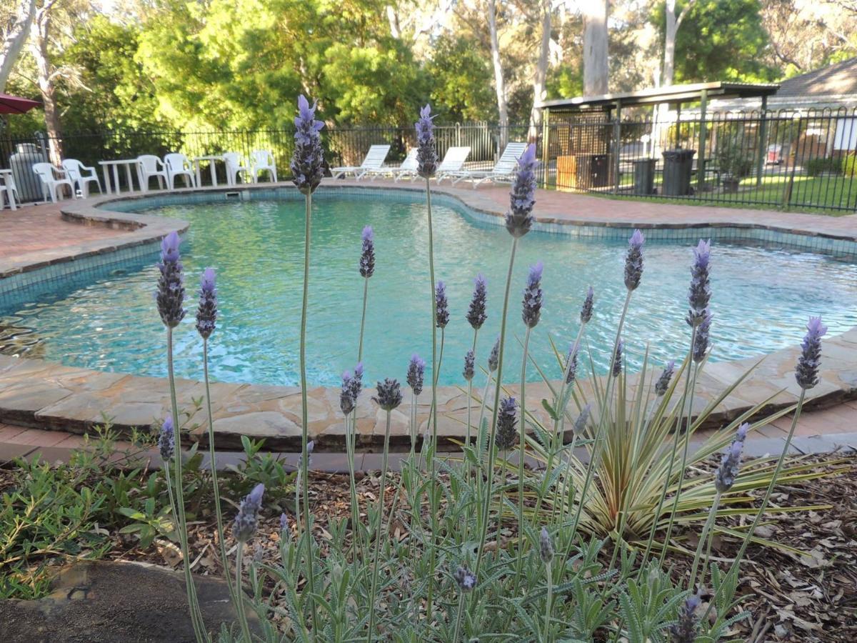 Belair National Park Holiday Park Exterior foto
