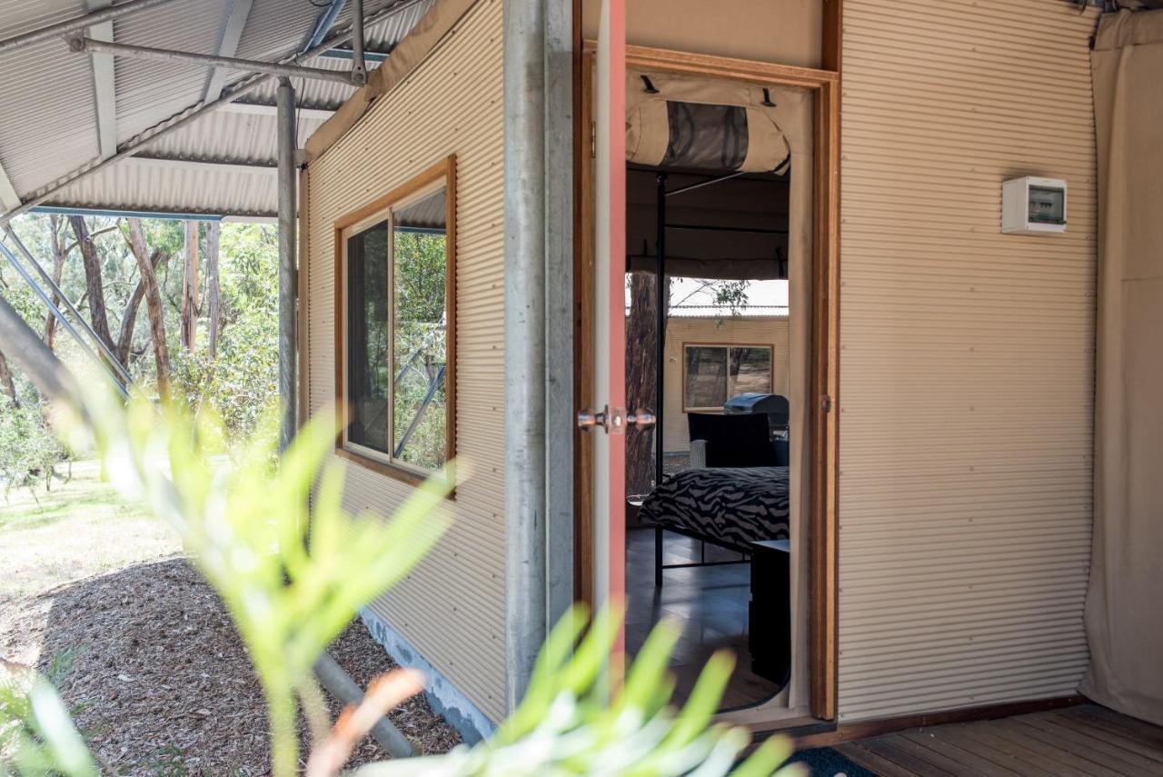 Belair National Park Holiday Park Exterior foto