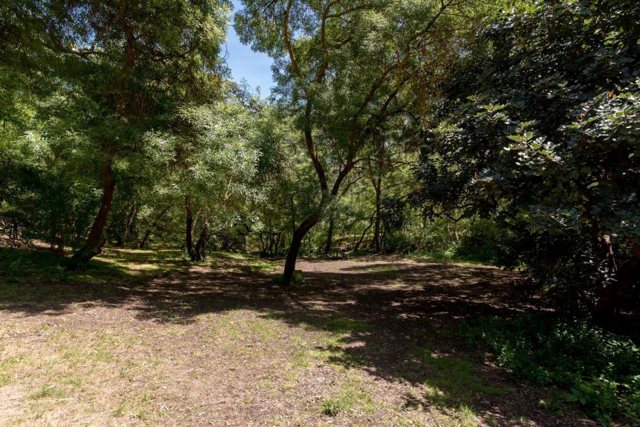 Belair National Park Holiday Park Exterior foto
